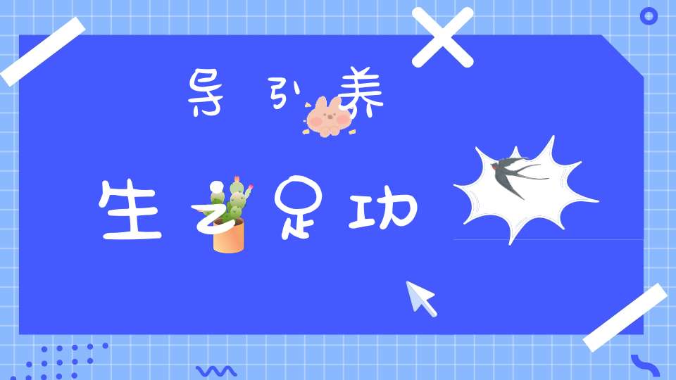 导引养生之足功