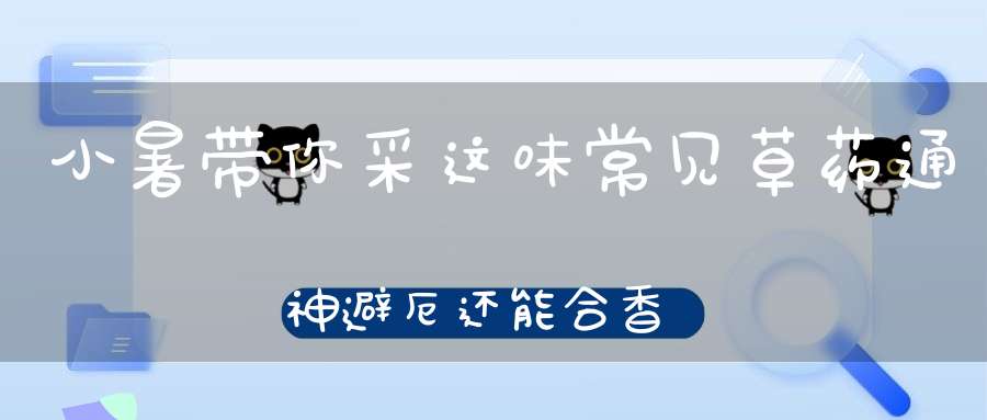 小暑带你采这味常见草药通神避厄还能合香泡茶凉拌！