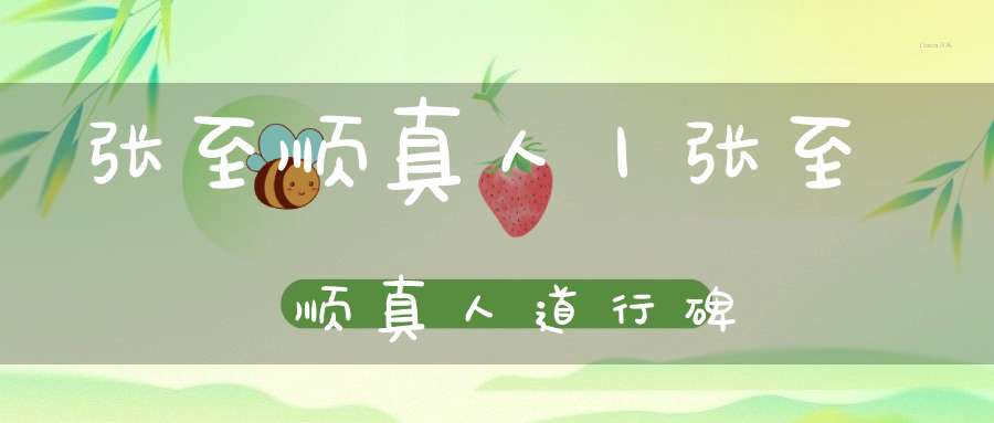 张至顺真人丨张至顺真人道行碑