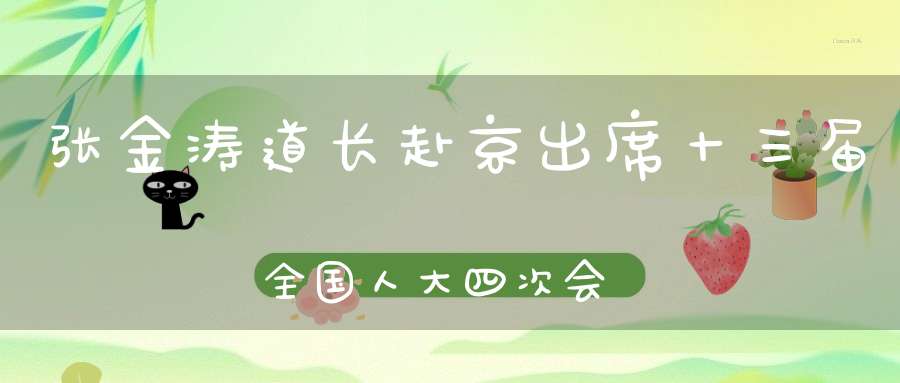 张金涛道长赴京出席十三届全国人大四次会议
