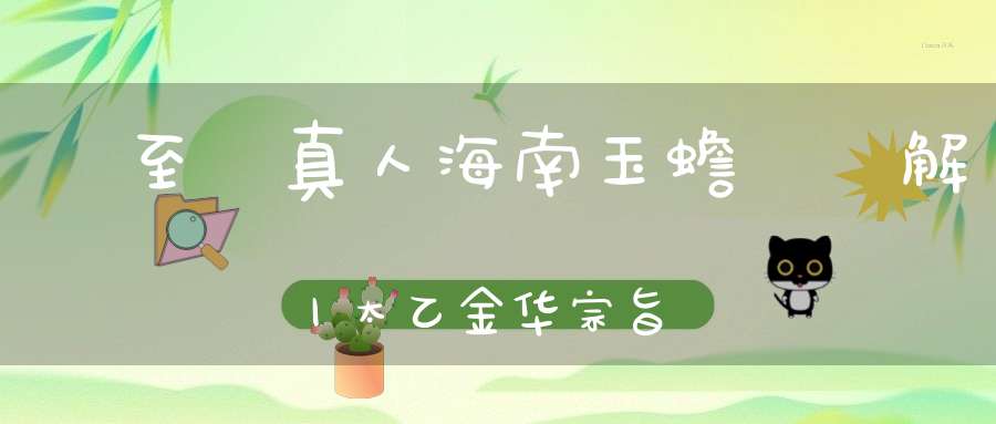 張至順真人海南玉蟾宮講解丨太乙金华宗旨丨回光守中第三丨上篇