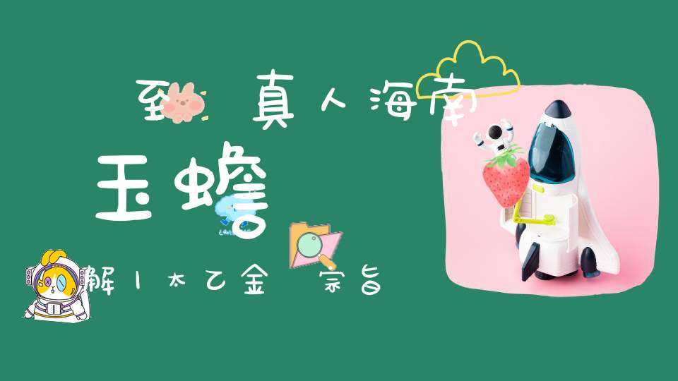 張至順真人海南玉蟾宮講解丨太乙金華宗旨丨回光差謬第五