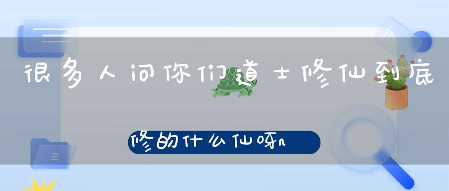很多人问你们道士修仙到底修的什么仙呀n