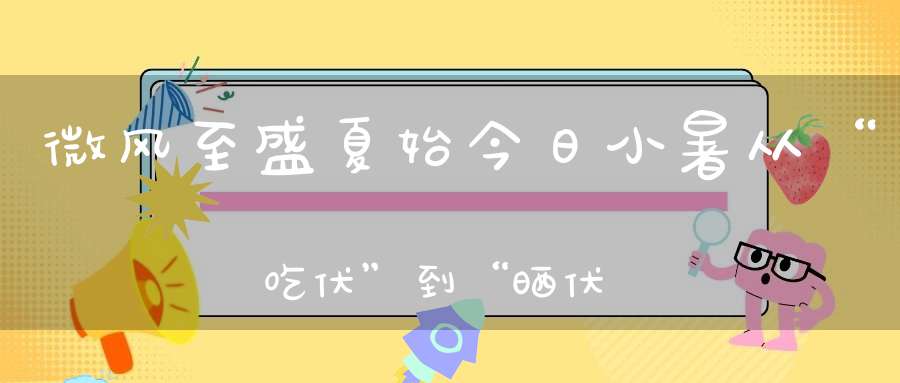 微风至盛夏始今日小暑从“吃伏”到“晒伏”看古人如何过伏天