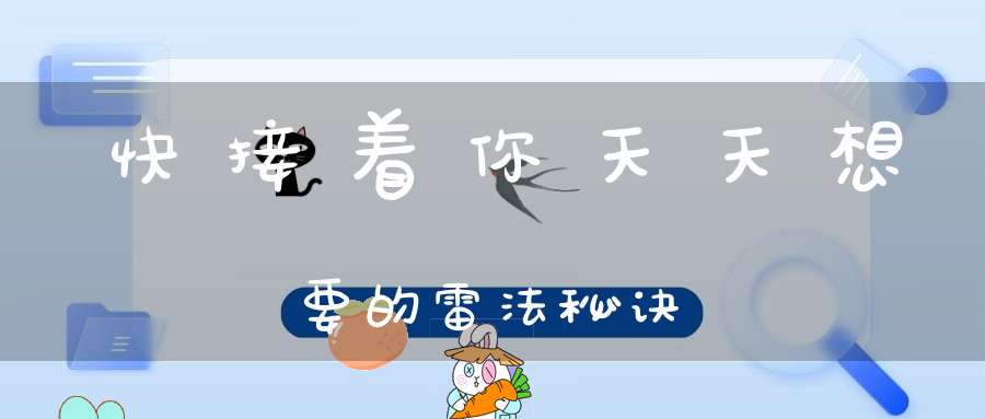 快接着你天天想要的雷法秘诀
