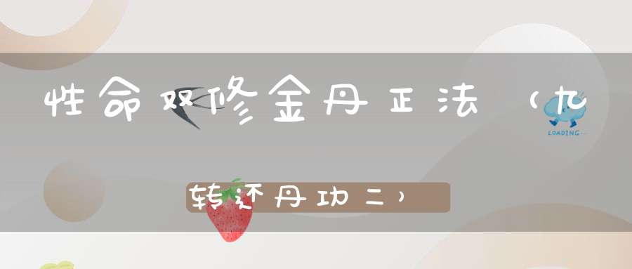 性命双修金丹正法（九转还丹功二）