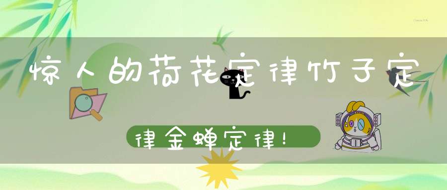 惊人的荷花定律竹子定律金蝉定律！
