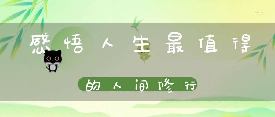 感悟人生最值得的人间修行