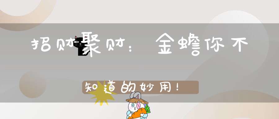 招财聚财：金蟾你不知道的妙用！