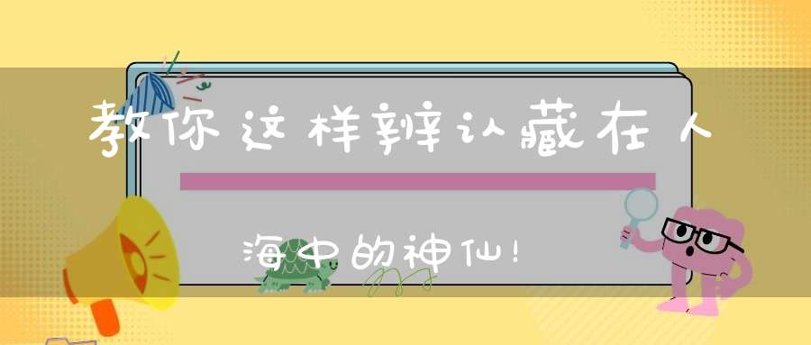 教你这样辨认藏在人海中的神仙！