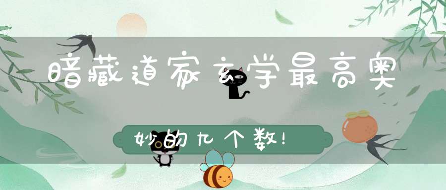 暗藏道家玄学最高奥妙的九个数！