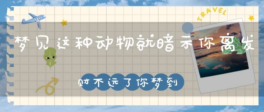 梦见这种动物就暗示你离发财不远了你梦到过吗