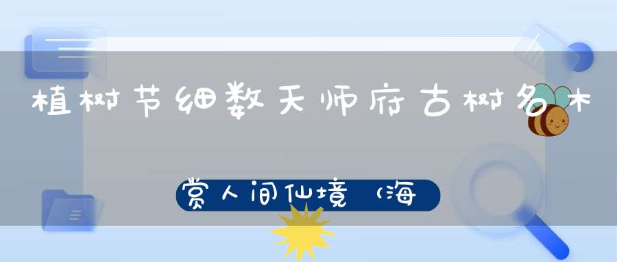 植树节细数天师府古树名木赏人间仙境（海量美图）