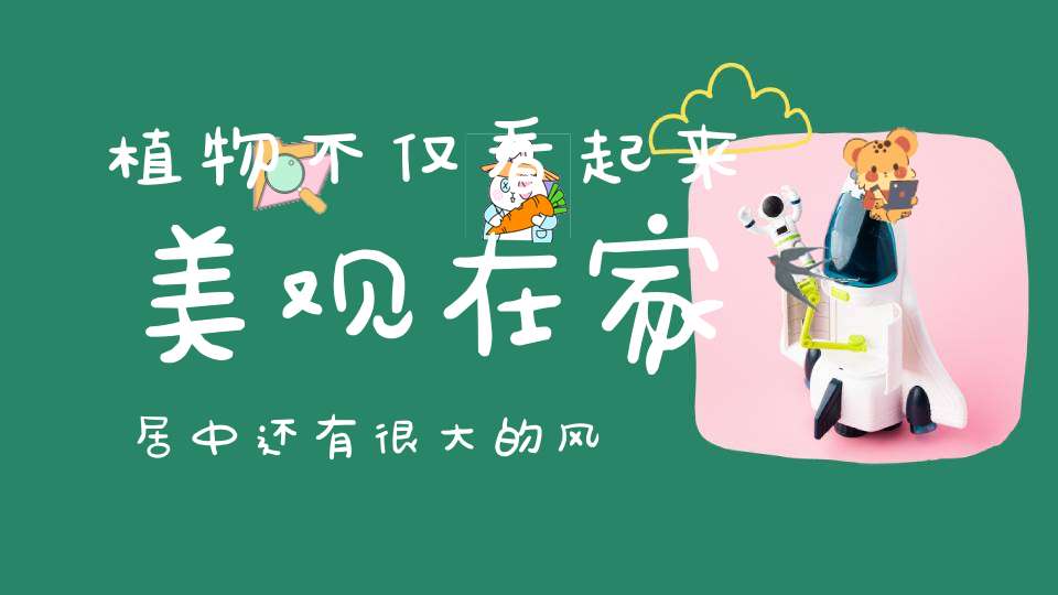 植物不仅看起来美观在家居中还有很大的风水作用