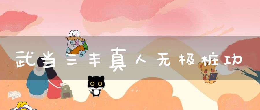 武当三丰真人无极桩功
