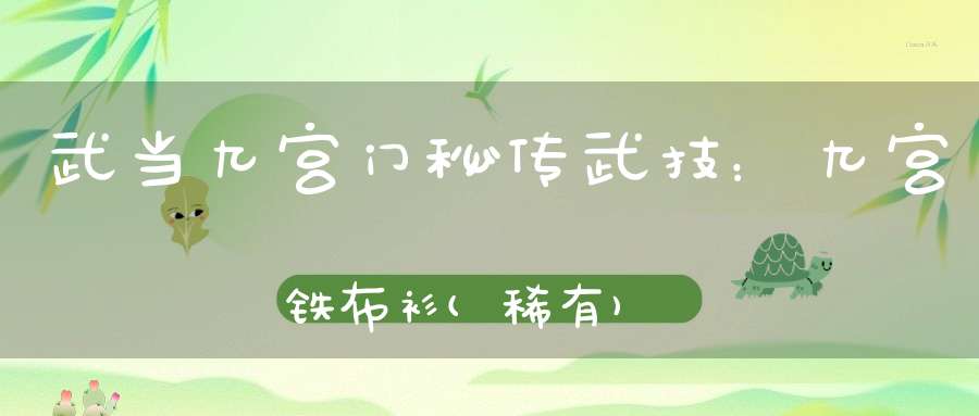 武当九宫门秘传武技：九宫铁布衫(稀有)