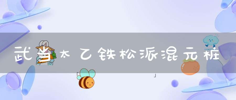 武当太乙铁松派混元桩