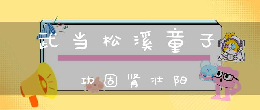 武当松溪童子功固肾壮阳
