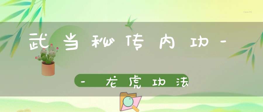 武当秘传内功--龙虎功法
