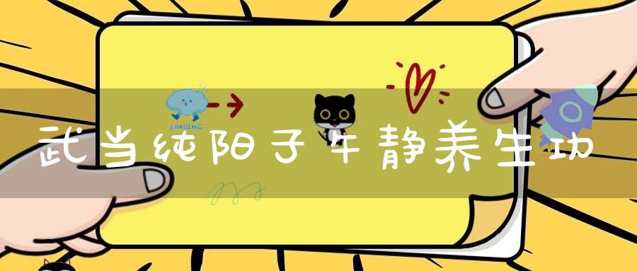武当纯阳子午静养生功