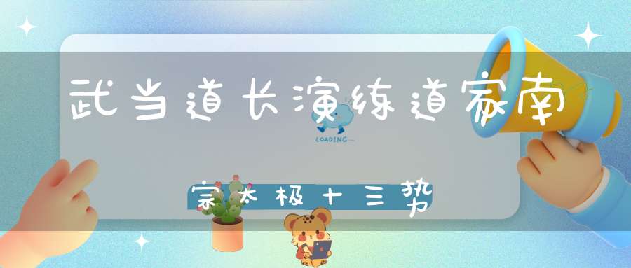 武当道长演练道家南宗太极十三势