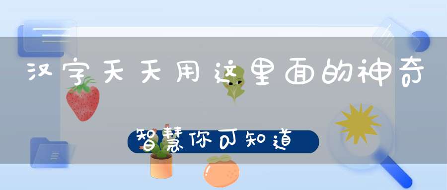 汉字天天用这里面的神奇智慧你可知道