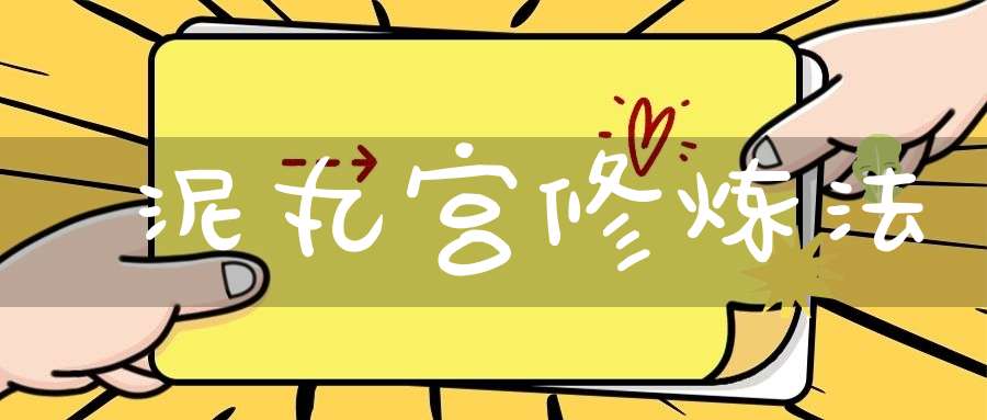 泥丸宫修炼法