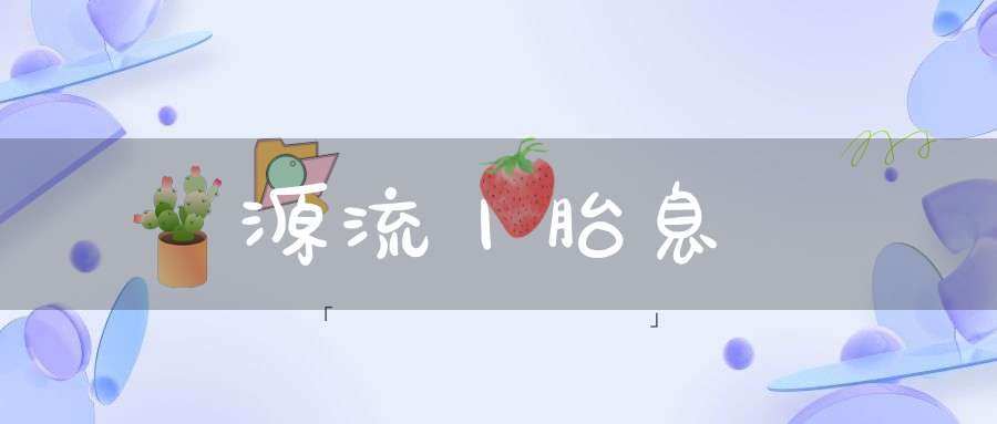 炁體源流丨胎息經註