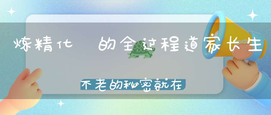 炼精化炁的全过程道家长生不老的秘密就在这里！