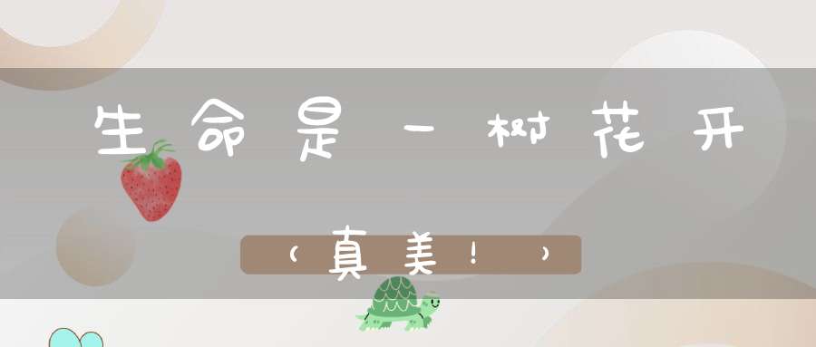 生命是一树花开（真美！）