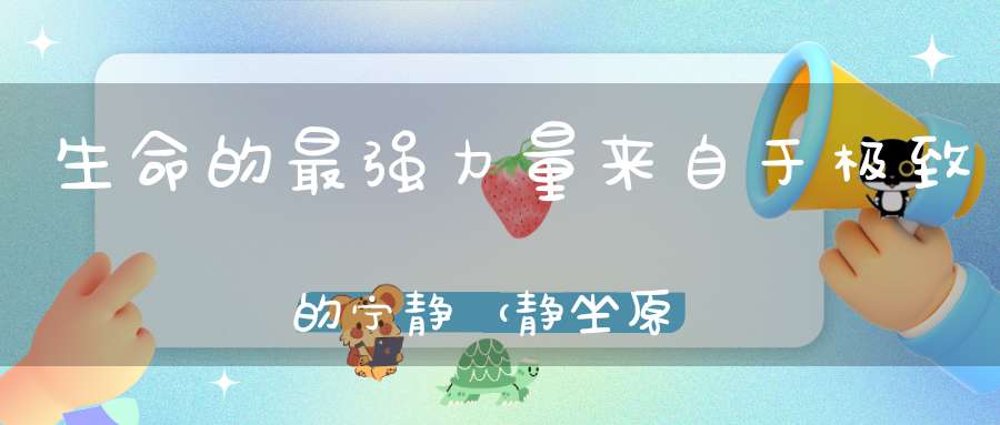 生命的最强力量来自于极致的宁静（静坐原理）