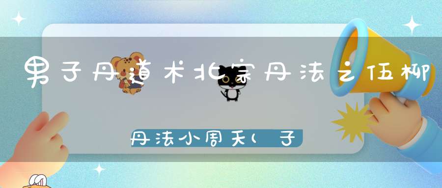 男子丹道术北宗丹法之伍柳丹法小周天(子午周天)