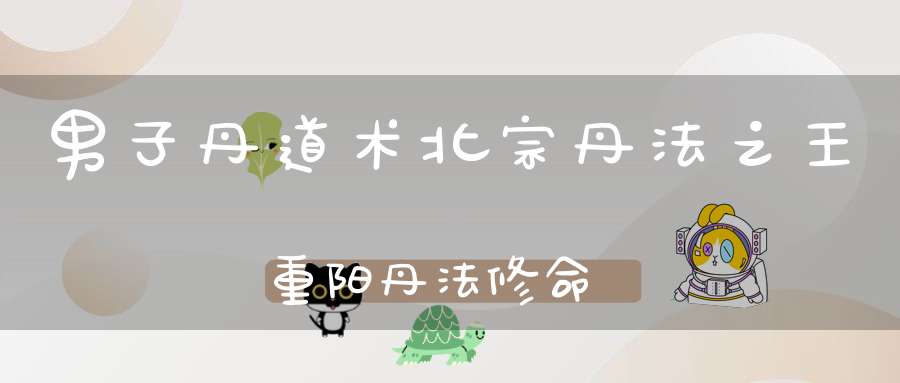 男子丹道术北宗丹法之王重阳丹法修命