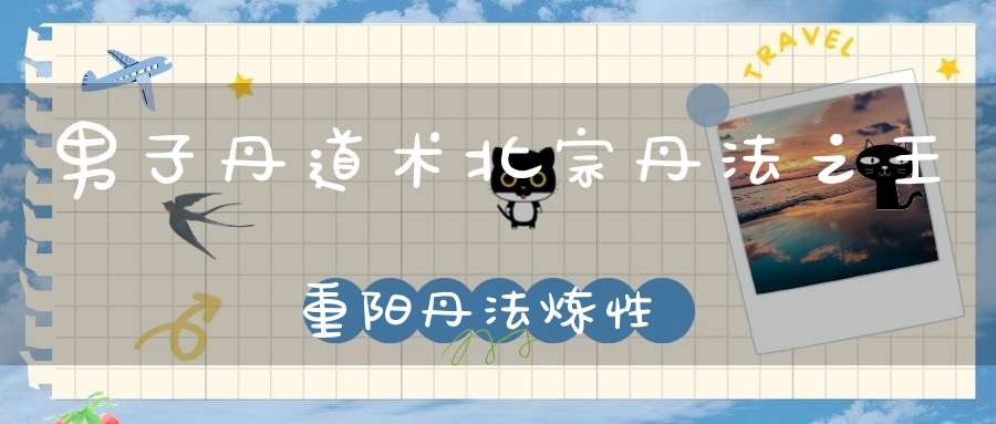 男子丹道术北宗丹法之王重阳丹法炼性