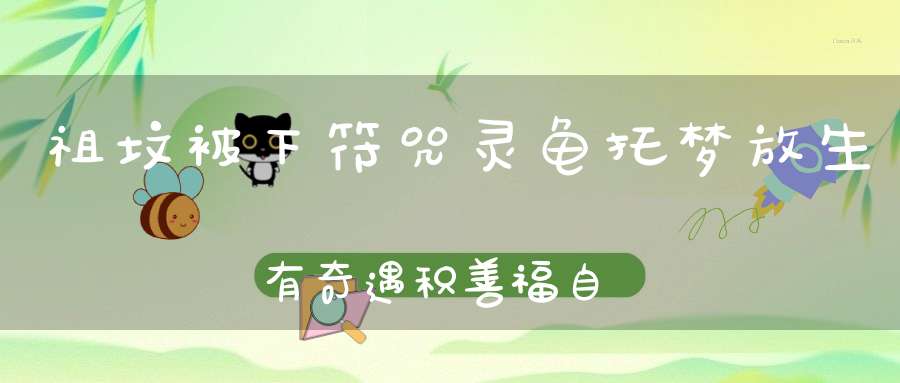 祖坟被下符咒灵龟托梦放生有奇遇积善福自來！