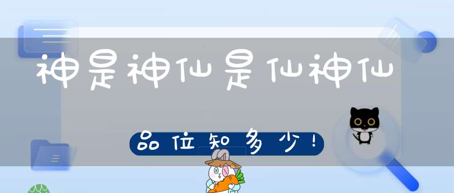 神是神仙是仙神仙品位知多少！