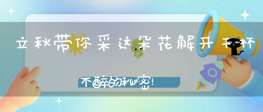 立秋带你采这朵花解开千杯不醉的秘密！