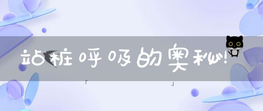 站桩呼吸的奥秘！