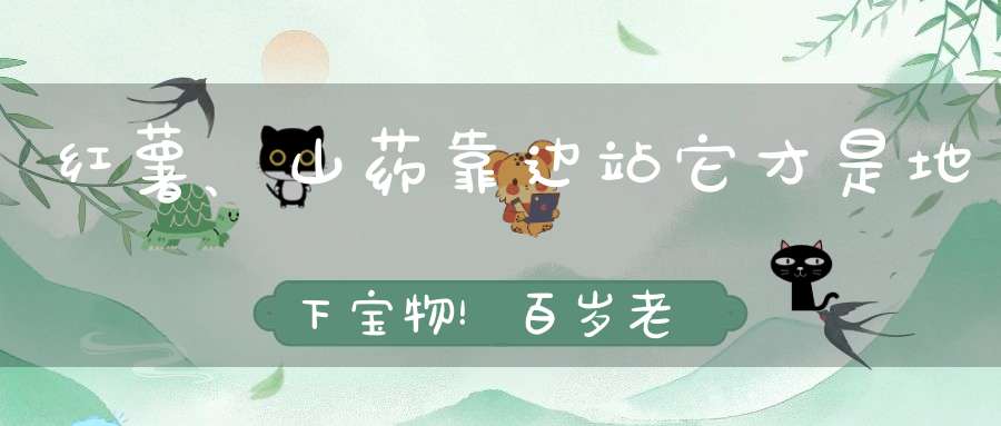 红薯、山药靠边站它才是地下宝物！百岁老人都在用的长寿秘方！