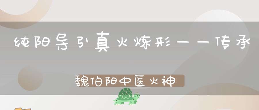 纯阳导引真火炼形——传承魏伯阳中医火神派道密「火龙决」