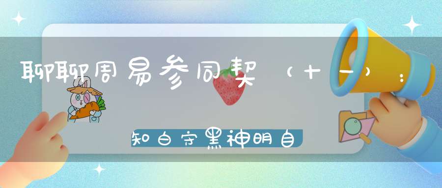 聊聊周易参同契（十一）：知白守黑神明自来