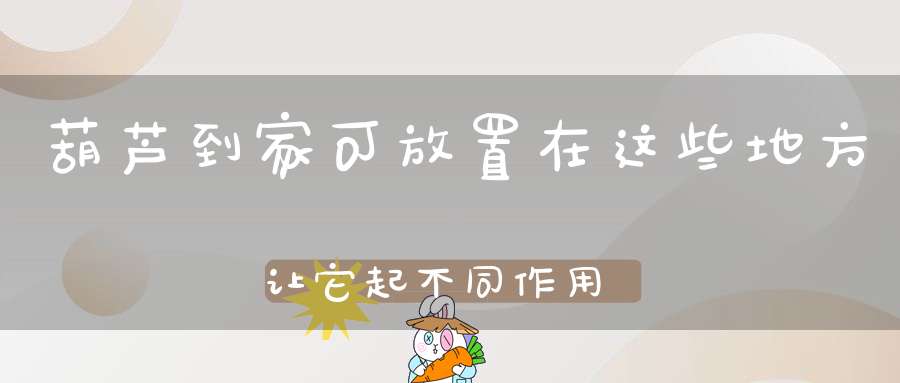 葫芦到家可放置在这些地方让它起不同作用