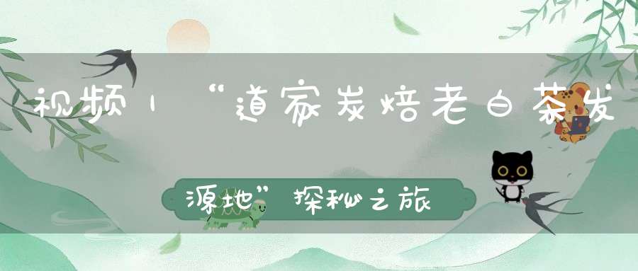 视频｜“道家炭焙老白茶发源地”探秘之旅！