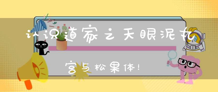 认识道家之天眼泥丸宫与松果体！