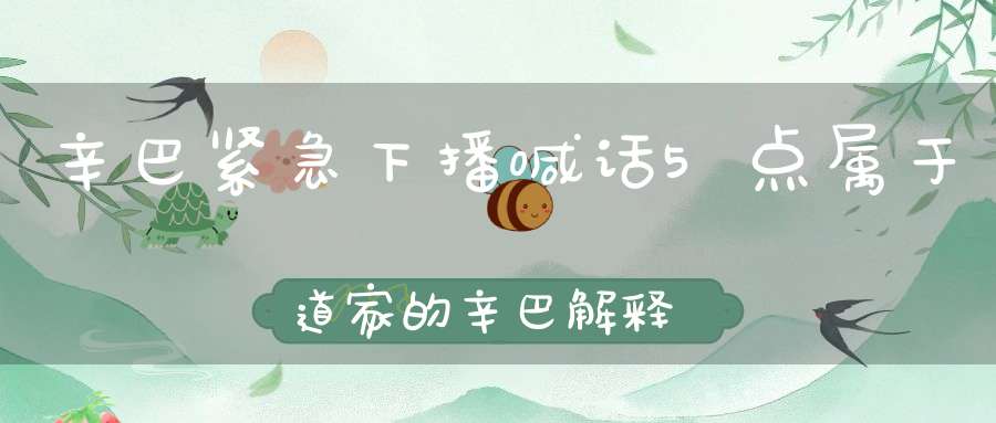 辛巴紧急下播喊话5点属于道家的辛巴解释来五点直播的原因