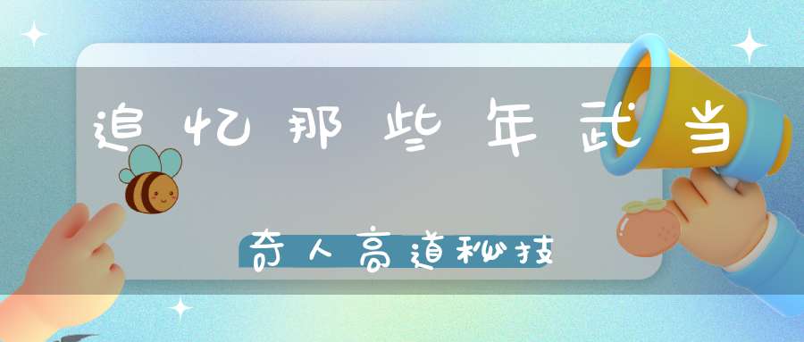 追忆那些年武当奇人高道秘技