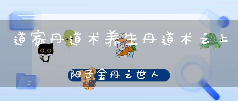 道家丹道术养生丹道术之上阳子金丹之世人皆得和观水得道等