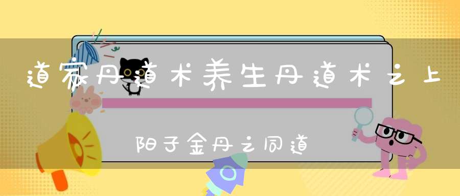道家丹道术养生丹道术之上阳子金丹之同道中人