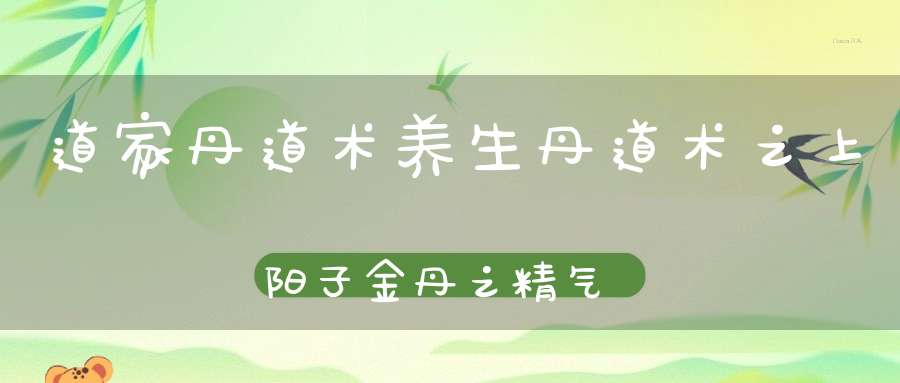 道家丹道术养生丹道术之上阳子金丹之精气神说