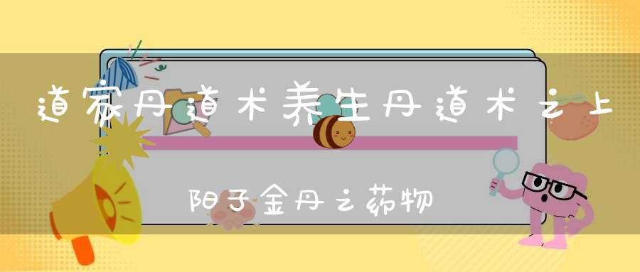 道家丹道术养生丹道术之上阳子金丹之药物和鼎器